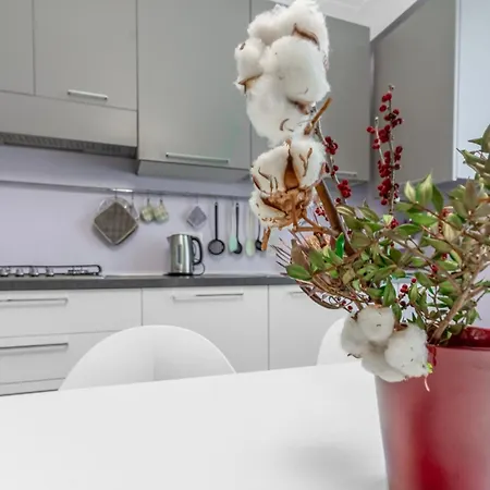 Corsica Comfort Suites-10 Min To Linate Airport * Milan